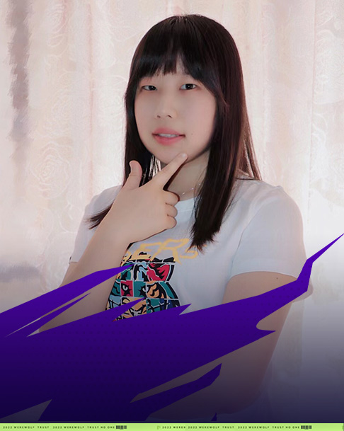 解说